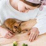 Beautiful girl feeding cute furry rabbit with broccoli on wooden table