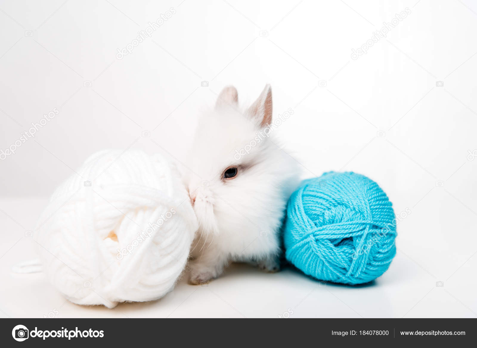 fur balls lapin