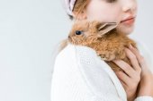abgeschnittene Aufnahme eines Kindes, das ein niedliches, pelziges Kaninchen auf Weiß hält
