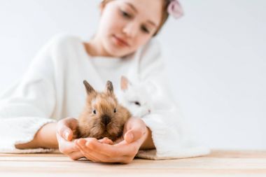 Kız şirin tüylü tavşan beyaz üzerinde tutarak yakından görmek