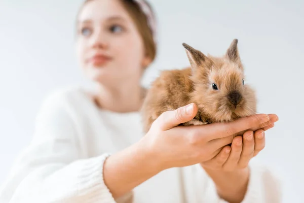 Close View Girl Holding Cute Furry Rabbit White — Stock Photo, Image