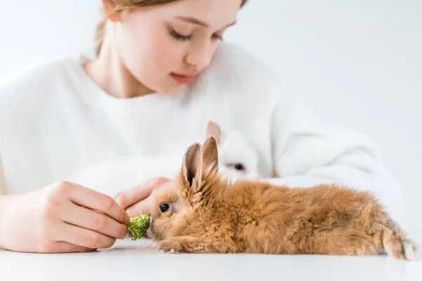 Cropped Shot Cute Little Girl Feeding Rabbits Broccoli White — Stock Photo, Image
