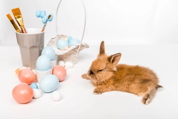 Entzückendes Pelziges Kaninchen Und Bemalte Ostereier Auf Weiß — Stockfoto