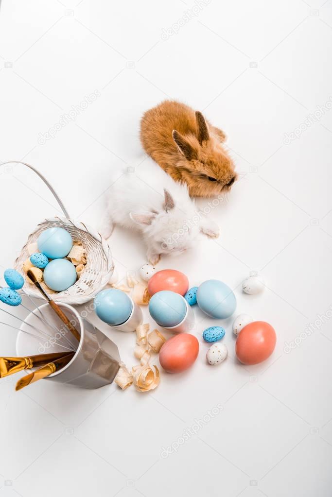 top view of adorable furry rabbits and painted easter eggs on white