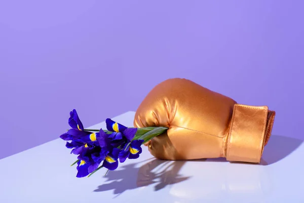 Golden Boxing Glove Holding Purple Iris Flowers — Stock Photo, Image
