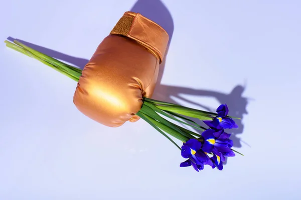 Вид Сверху Фиолетовые Цветы Радужной Оболочки Золотой Боксерской Перчатке — стоковое фото