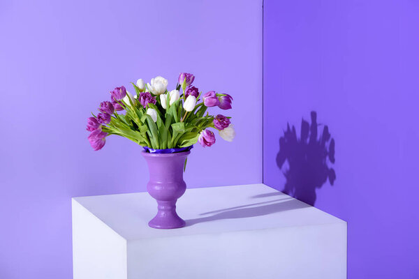 белый и фиолетовый тюльпан цветы в вазе на кубе, ультрафиолетовый тренд

