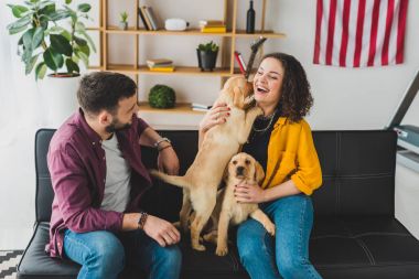 Köpekler