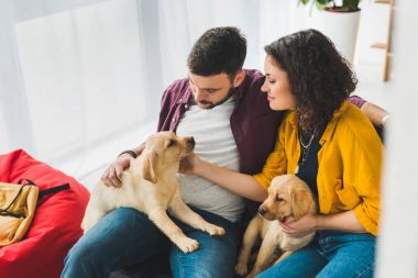 Adam ve kanepeye iki labrador yavru tutan kadın
