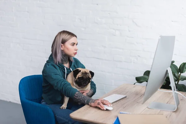 tattooed girl holding pug dog and using computer at home