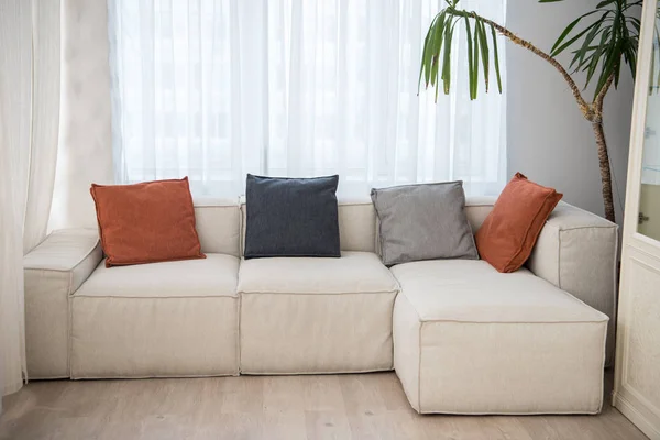 Bank Met Kussens Van Verschillende Kleuren Moderne Woonkamer Naast Planten — Stockfoto