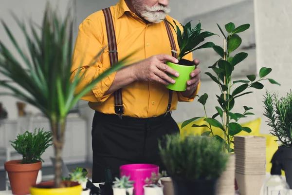 Gardener — Stock Photo, Image