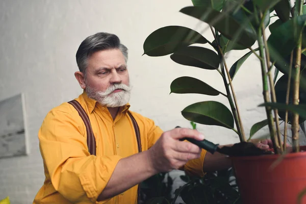 ひげを生やした年配の男性が緑の植物をポットに土を入れて — ストック写真