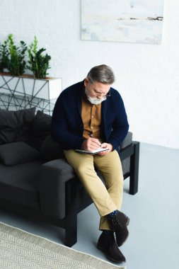 Sakallı üst düzey adam kanepede oturan ve not defterinde yazılı yüksek açılı görünüş