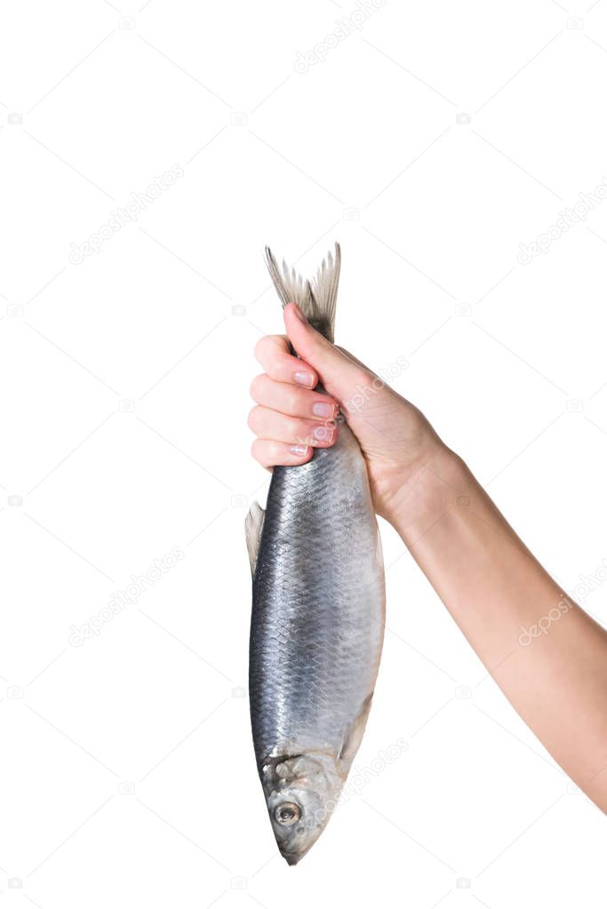 cropped image of woman holding fish in hand isolated on white
