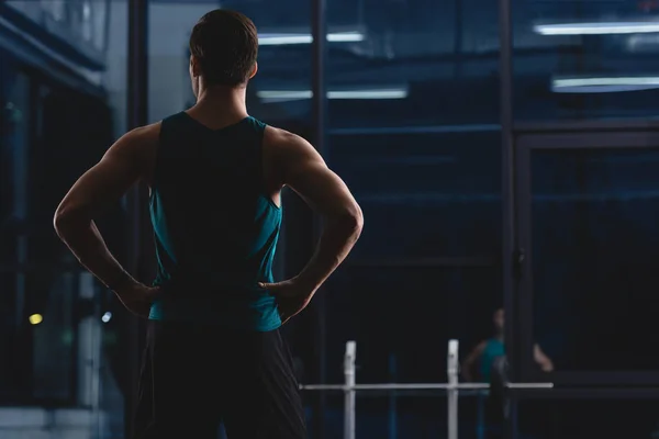 Rückansicht Der Silhouette Eines Muskulösen Sportlers Der Sportzentrum Steht — Stockfoto