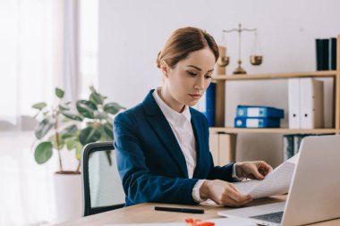 yan görünüm konsantre kadın avukat işyeri Office belgeleriyle çalışma