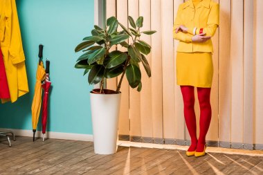Kısmi ficus bitki saksı renkli daire, Bebek ev kavramı içinde duran retro tarz kadın görünümünü