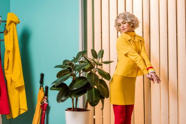 Retro ficus bitki saksı renkli daire, Bebek ev kavramı içinde duran kadın tarz