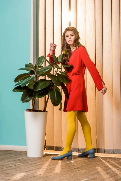 Pensive Retro Styled Woman Standing Ficus Plant Flowerpot Colorful Apartment — Stock Photo, Image