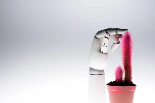 robot hand touching pink cactus isolated on grey
