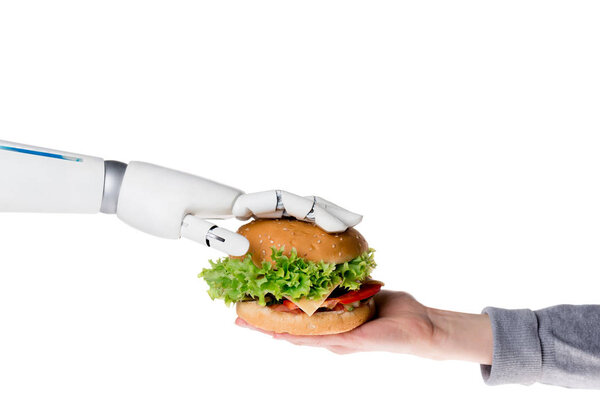cropped shot of robot passing tasty burger to human isolated on white