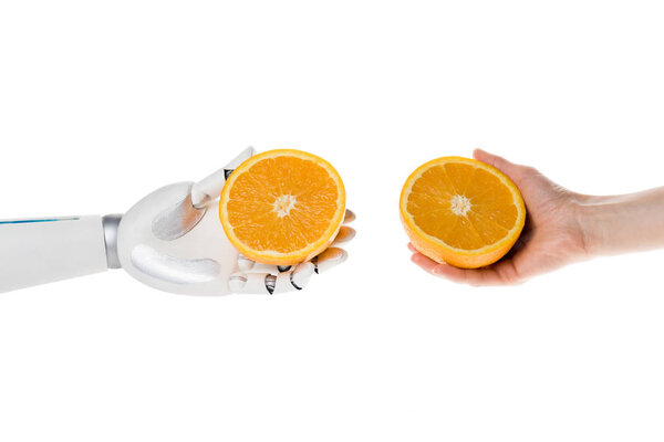 cropped shot of robot and human holding halves of orange isolated on white