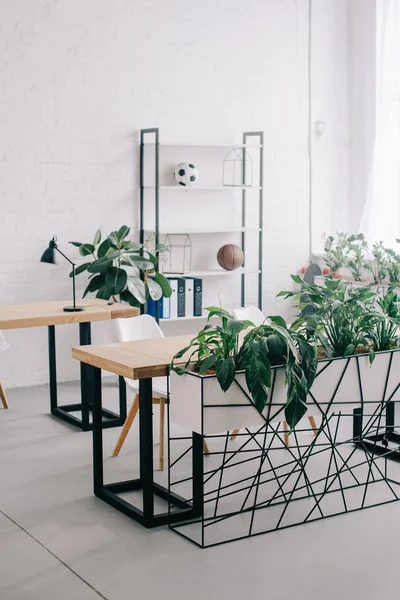 Vista Frontal Del Interior Oficina Moderna Con Muebles Plantas — Foto de Stock