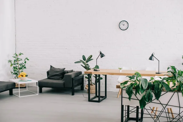 Interior Oficina Moderna Con Muebles Plantas Reloj Pared — Foto de Stock