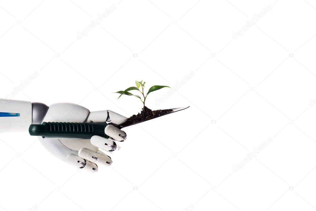 robot hand holding garden shovel with soil and green plant isolated on white