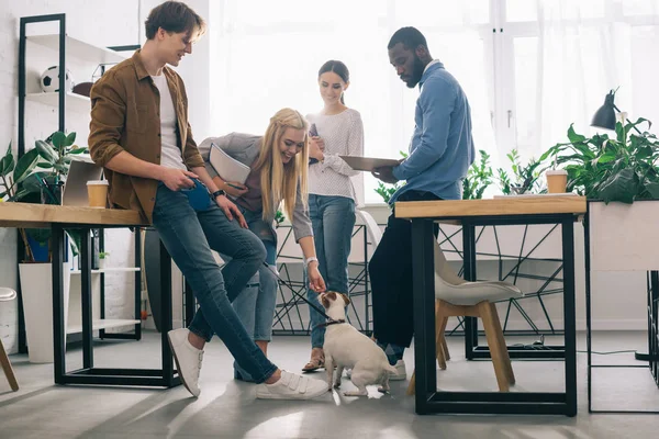 Multicultural Business Colleagues Textbooks Jack Russel Terrier Leash Modern Office — Stock Photo, Image