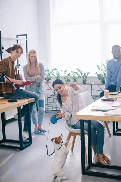 Smiling Businesswoman Playing Jack Russel Terrier Leash Colleagues Standing Modern — Stock Photo, Image