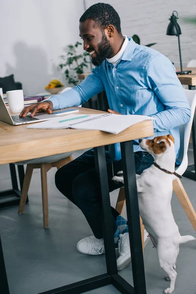 Homem de negócios e cão — Fotografia de Stock