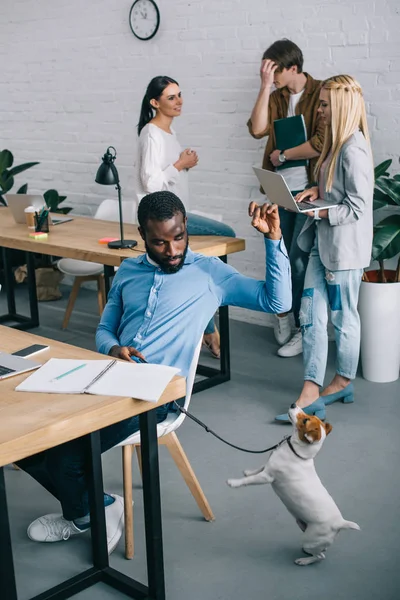 Africano Americano Empresário Brincando Com Cão Coleira Colegas Trabalho Tendo — Fotografia de Stock