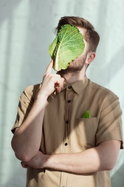 savoy lahana yaprağı ile dalgın adam görünümünü yüzünde, vegan yaşam tarzı kavramı gizlenmiş