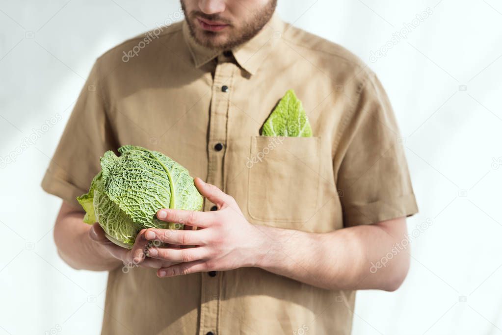 partial view of man with fresh savoy cabbage in hands, vegan lifestyle concept