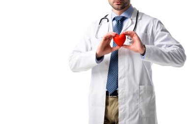 Close-up view of heart in hands of doctor wearing white coat with stethoscope isolated on white clipart