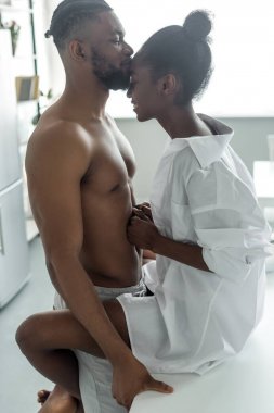 Mutfak tezgahı, mutfak öpüşme seksi Afro-Amerikan çift yan görünüm