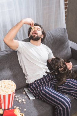 bulldog ile oturma ve oturma odasında kanepede patates kızartması yiyen yakışıklı yalnız adam yüksek açılı görünüş 