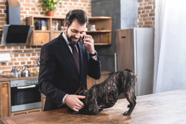 Smartphone Ile Konuşmak Bulldog Mutfak Palming Yakışıklı Yalnız Adam Işadamı — Ücretsiz Stok Fotoğraf