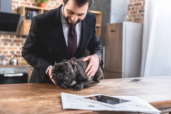 Schöner Einzelgänger Geschäftsmann Palmen Bulldog Auf Küchentisch Der Küche — kostenloses Stockfoto