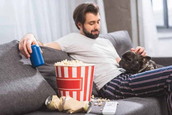 Handsome Loner Palming Bulldog Holding Drink Sofa Living Room — Stock Photo, Image