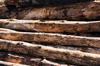full frame image of timber logs placed in row  clipart