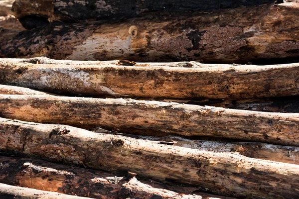 Full Frame Image Timber Logs Placed Row — Stock Photo, Image