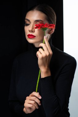 Güzel bir kadın, kırmızı dudakları ve kapalı gözleri var. Kırmızı Gerbera 'yı beyaz ve siyah renkte tutuyor.