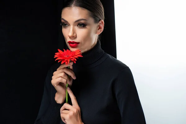 Bella Donna Con Labbra Rosse Con Gerbera Rosso Isolato Bianco — Foto Stock