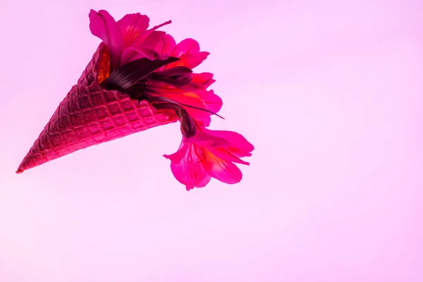 Çiçekler Açan Tatlı Dondurma Külahında Pembe Üzerinde Izole — Stok fotoğraf