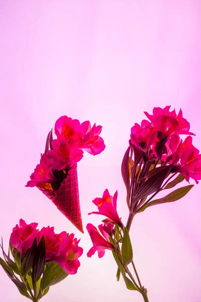 Flowers Sweet Ice Cream Cone Isolated Pink — Stockfoto