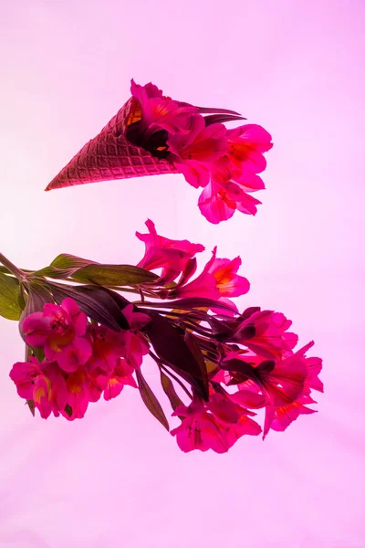 Blossoming Flowers Ice Cream Cone Isolated Pink — Stock Photo, Image