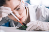 attraktiver Biochemiker in Brille mit Pipette in der Nähe grüner Pflanzen 